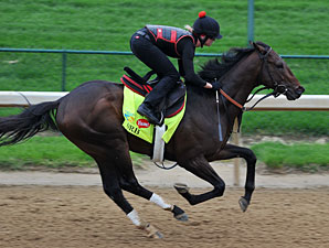 Orb - Churchill Downs, April 29, 2013.