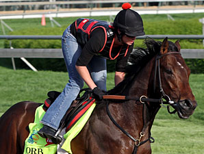Orb - Churchill Downs, May 2, 2013.