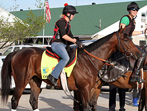 Orb - Churchill Downs, May 2, 2013.