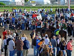 Orb - Churchill Downs, May 2, 2013.