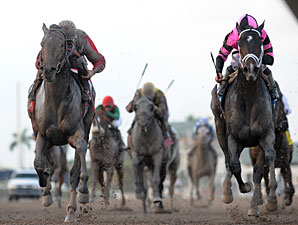 Orb wins the 2013 Fountain of Youth.
