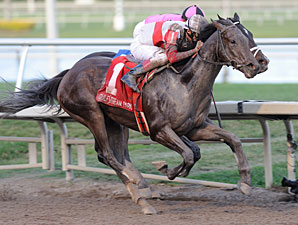 Orb wins the 2013 Fountain of Youth.