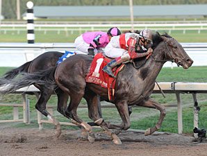 Orb wins the 2013 Fountain of Youth.