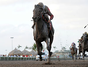 Orb wins the 2013 Fountain of Youth.