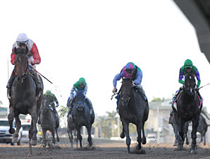 Orb wins the 2013 Florida Derby.