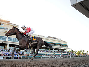 Orb wins the 2013 Florida Derby.