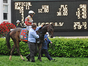 Orb wins the 2013 Kentucky Derby.