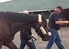 Kentucky Derby winner Orb Leaves Churchill Downs