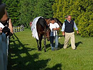 Orb - Pimlico May 17, 2013