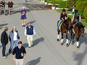 Orb - Churchill Downs, May 2, 2013.