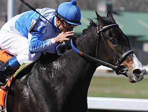 Orchestrator wins the 2010 Bourbonette.