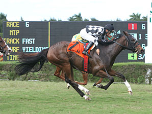Oregon Lady wins the 2011 My Charmer.