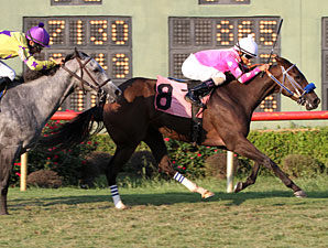 Osi Posse wins the 2012 Elge Rasberry.