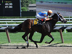 Our Amazing Rose - Maiden Win, July 25, 2013