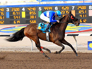 Our Choice wins the 2012 Mt. Cristo Rey.