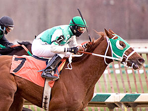 Our Commander wins the 2009 Maryland Juvenile Championship.
