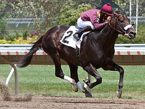 Our Edge wins an allowance/optional claiming race at Monmouth on June 26, 2010.