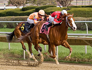 Our Lady in Red wins the 2011 Pretty Jenny Stakes.