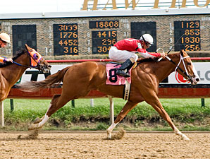 Our Lady in Red wins the 2011 Pretty Jenny Stakes.