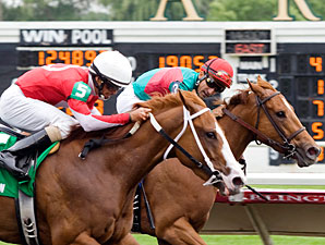 Our Lady in Red wins the 2011 Purple Violet Stakes.