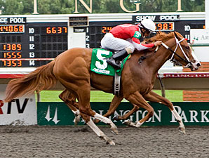 Our Lady in Red wins the 2011 Purple Violet Stakes.