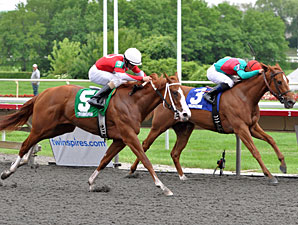 Our Lady in Red wins the 2011 Purple Violet Stakes.