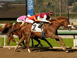 Out of Bounds wins the 2012 Sham.