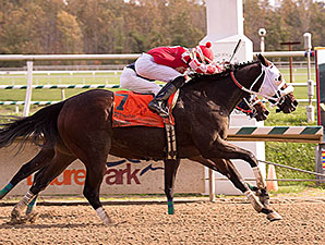 Outbacker wins the 2014 Maryland Million Starter.