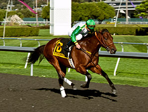 Outside Nashville wins the 2012 Golden Nugget.