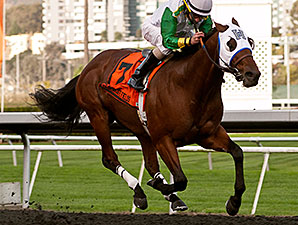 Outside Nashville wins the 2014 Oakland Stakes.
