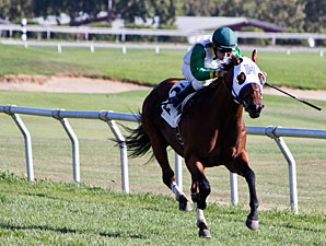 Outside Nashville wins the 2013 Robert Dupret Derby.