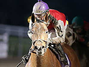 Over a Barrel wins the 2015 LA Bred Premier Night Gentlemen Starter Stakes.