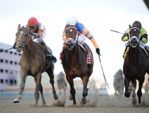 Overanalyze wins the 2012 Remsen.