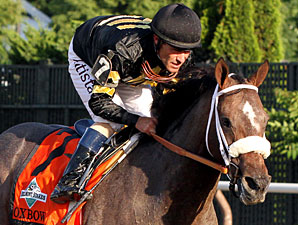 Oxbow finishes second in the Belmont Stakes.