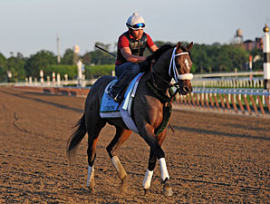 Oxbow - Belmont Park, June 5, 2013