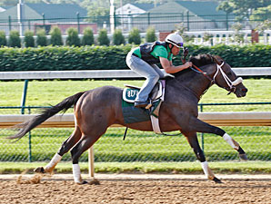 Oxbow - Churchill Downs, May 30, 2013.