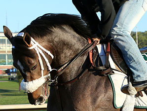 Oxbow at Oaklawn on April 12, 2013