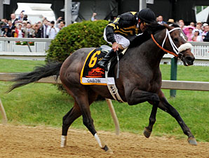 Oxbow wins the 2013 Preakness.