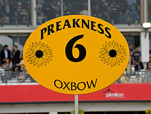 Oxbow wins the 2013 Preakness.