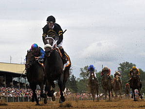 Oxbow wins the 2013 Preakness.