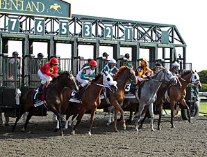 Pachattack wins the 2012 Doubledogdare.