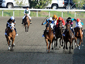 Pachattack wins the 2012 Doubledogdare.