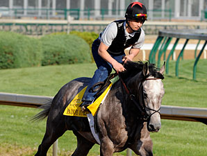Paddy O'Prado at Churchill Downs on April 16, 2010.