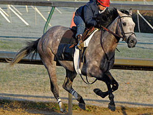 Paddy O'Prado works at Churchill Downs on Oct. 30, 2010.