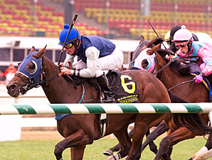 Pagan Priestess wins the 2012 Maryland Million Ladies.