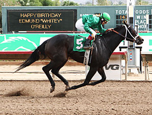 Page Springs wins the 2012 Princess of Palms Stakes.