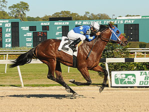 Palace Barista wins the 2014 Pelican Stakes.