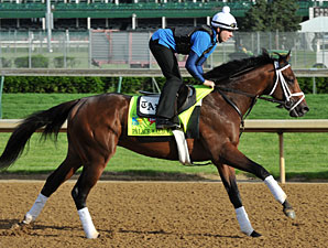 Palace Malice - Churchill Downs, May 2, 2013.