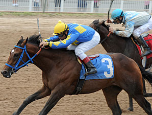 Palmy Bay wins the 2012 Louisiana Cup Juvenile.