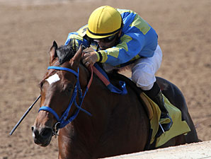 Palmy Bay wins the 2012 LA Stallion Stakes - Colts and Geldings Division.